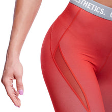 Load image into Gallery viewer, Performance Multiplied Leggings for Women
